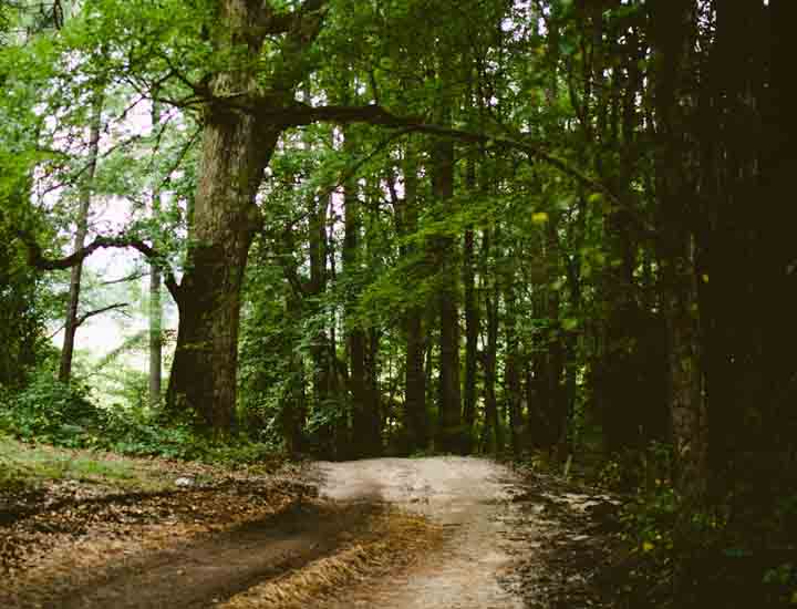 智能且具有自主学习能力的ddos压力测试平台