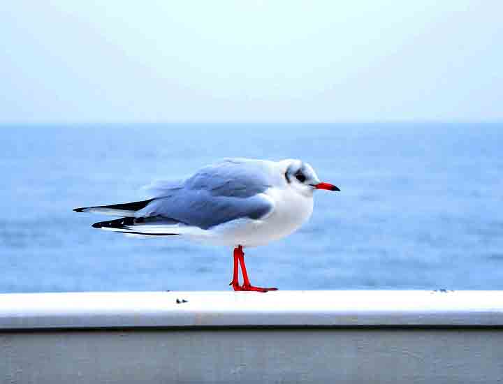 平台在线ddos压力测试