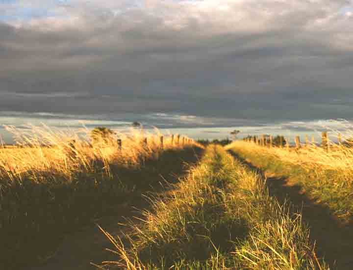 ddos攻击在哪能买到